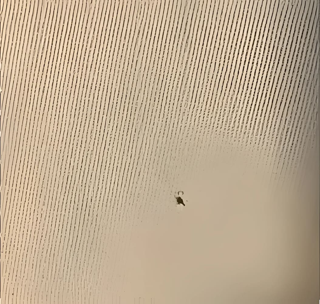 Small, dark insect.