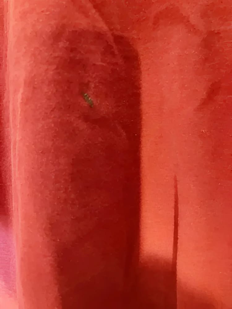 Red fabric with a small hole.