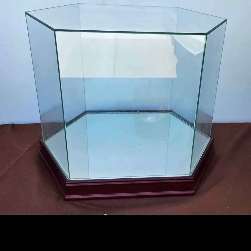 EXAGONAL CAPELO GLASS DISPLAY CASE ON WOODEN MIRROED BASE