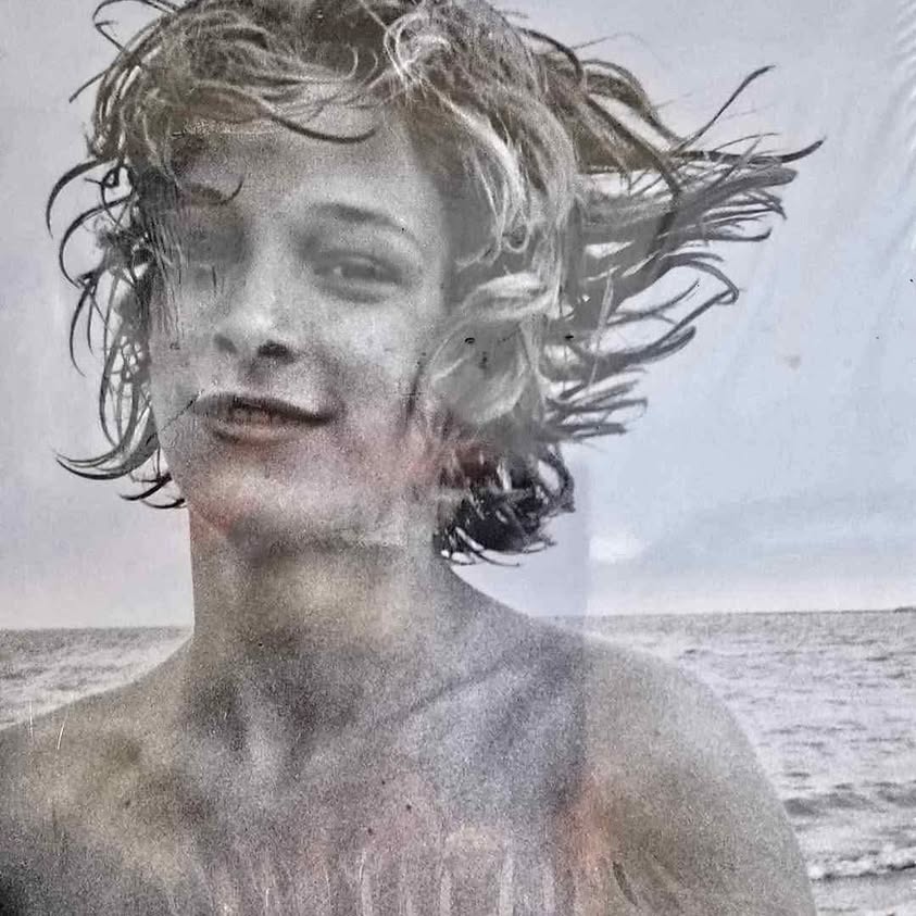 THE BEAUTIFUL BOY. BOOK NEW still wraped in mint-fine conditions By Germaine Greer