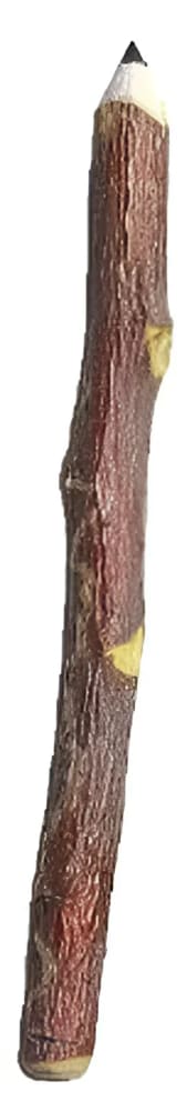 Wooden pencil with bark texture.