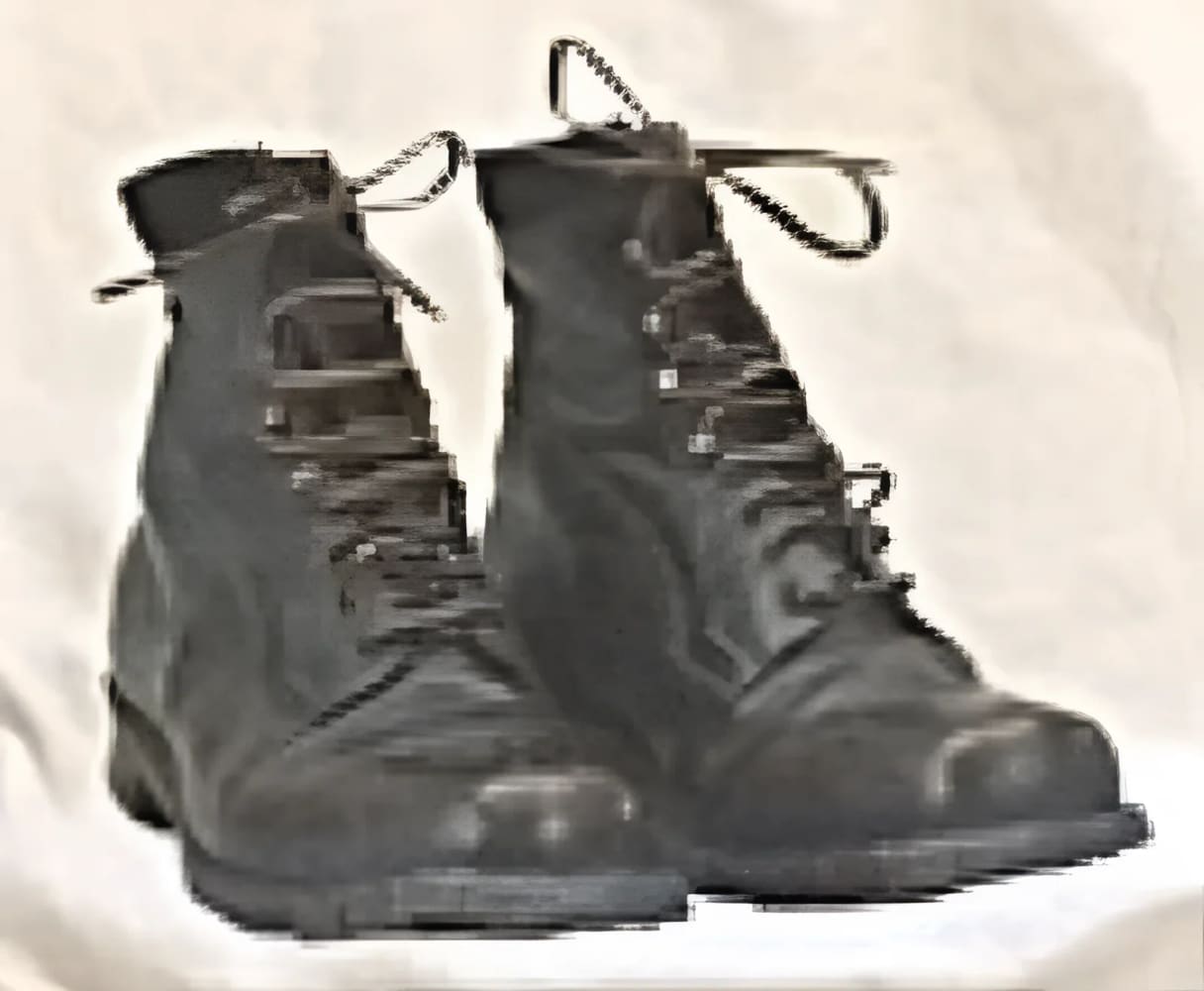 Pair of black, laced-up leather boots.