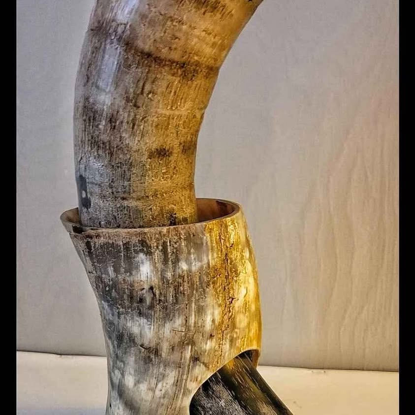 DRINKING VESSEL HORN ON HORN STAND ! SOOOO COOL !!