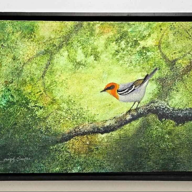THE BEAUTIFUL OLIVE WARBLER ANDTHE MORNING'S MIST. SIGNED acrylics on canvas By Sheaffer