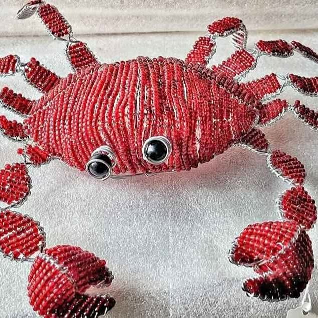 The Red Beaded Crab From SOUTHAFRICA