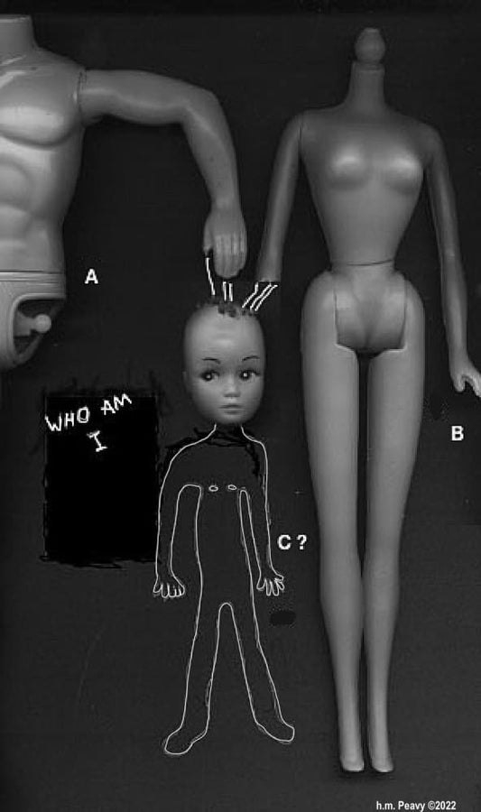 Dismantled plastic doll parts.