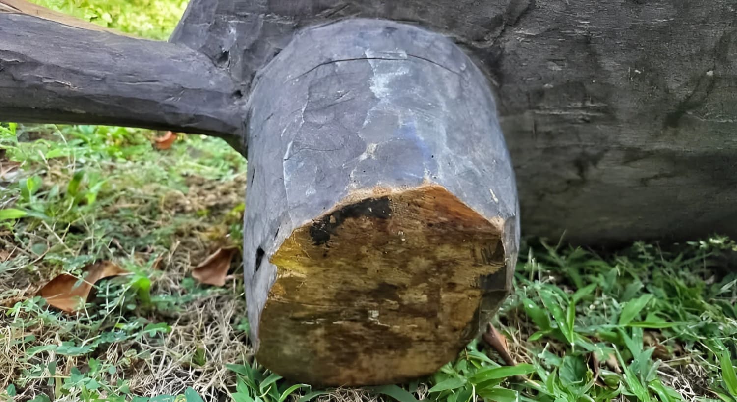 A carved wooden object with a partially exposed, lighter-colored end.