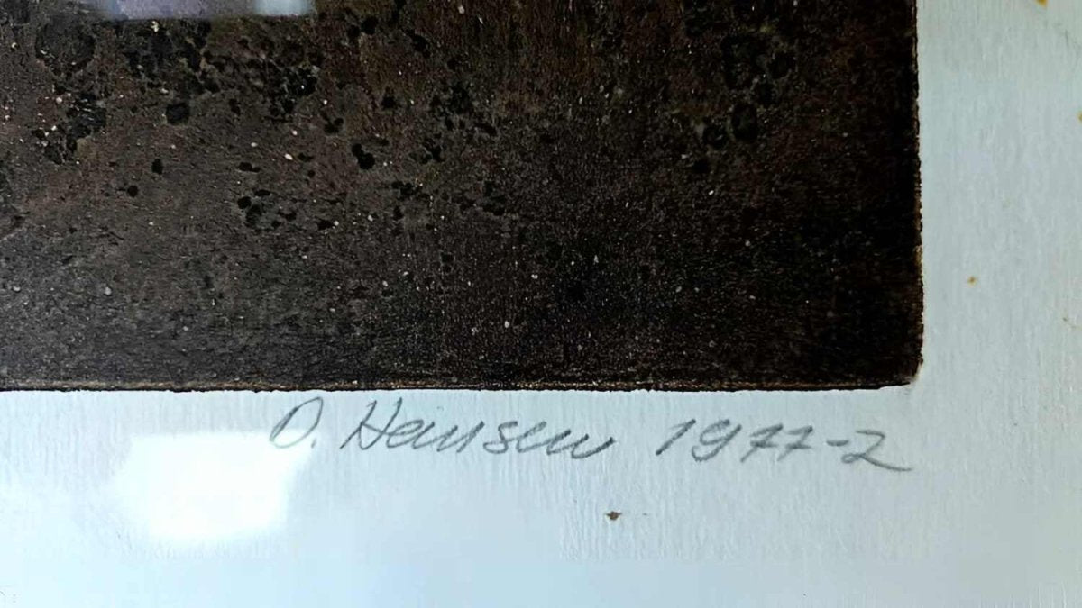 Diane Hansen Metamorfosi Signed Etching - Re - psychles Vintage Shop & Art Gallery