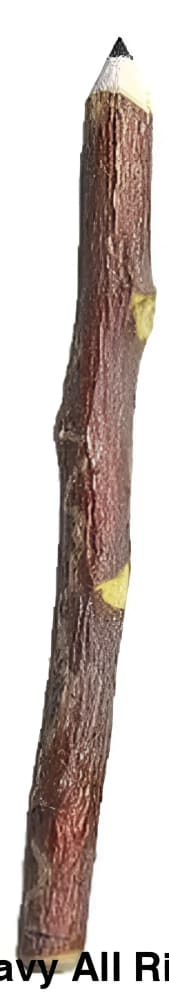 Eco-friendly Apple Pencil handcrafted from sustainably sourced natural wood twig