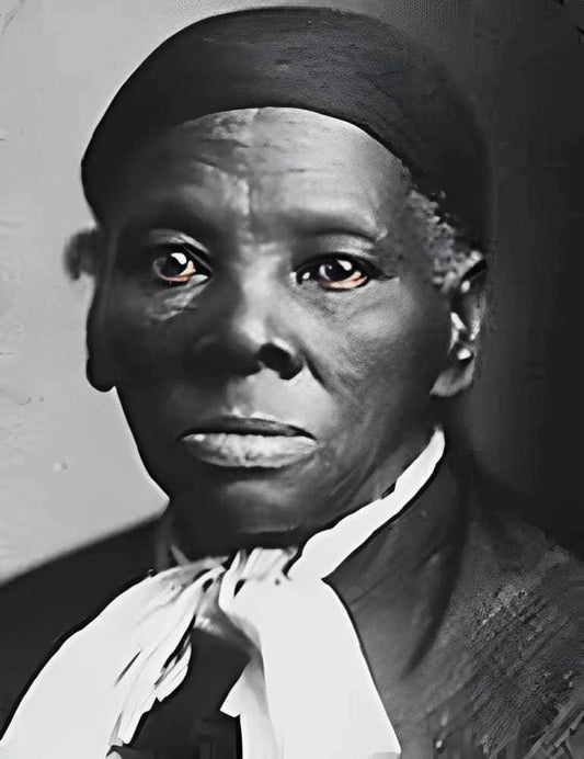 Harriet Tubman T-shirt by h.m. Peavy - Re - psychles Vintage Shop & Art Gallery